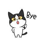 YAPI 猫猫–01日常スタンプ（個別スタンプ：2）
