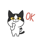 YAPI 猫猫–01日常スタンプ（個別スタンプ：3）