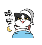 YAPI 猫猫–01日常スタンプ（個別スタンプ：10）