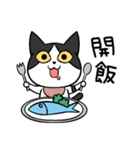 YAPI 猫猫–01日常スタンプ（個別スタンプ：11）