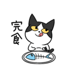 YAPI 猫猫–01日常スタンプ（個別スタンプ：12）