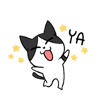 YAPI 猫猫–01日常スタンプ（個別スタンプ：13）