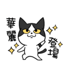 YAPI 猫猫–01日常スタンプ（個別スタンプ：15）