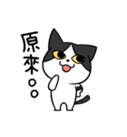 YAPI 猫猫–01日常スタンプ（個別スタンプ：17）