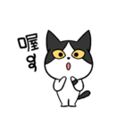 YAPI 猫猫–01日常スタンプ（個別スタンプ：18）