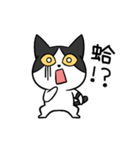 YAPI 猫猫–01日常スタンプ（個別スタンプ：20）