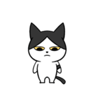 YAPI 猫猫–01日常スタンプ（個別スタンプ：21）
