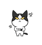 YAPI 猫猫–01日常スタンプ（個別スタンプ：25）
