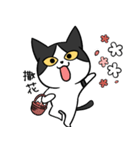 YAPI 猫猫–01日常スタンプ（個別スタンプ：26）