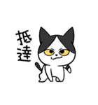 YAPI 猫猫–01日常スタンプ（個別スタンプ：28）