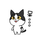 YAPI 猫猫–01日常スタンプ（個別スタンプ：29）