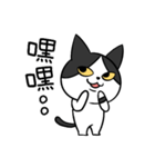 YAPI 猫猫–01日常スタンプ（個別スタンプ：30）