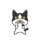 YAPI 猫猫–01日常スタンプ（個別スタンプ：31）