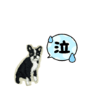 フレンチブルドッグの刺繍スタンプ（個別スタンプ：7）