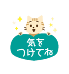 猫は犬にあらず 【茶トラ】（個別スタンプ：22）