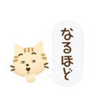 猫は犬にあらず 【茶トラ】（個別スタンプ：31）