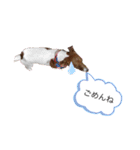 ジャックラッセル アリス（個別スタンプ：7）
