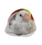 平和でありますように（個別スタンプ：9）