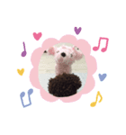 トイプーぬいぐるみくん（個別スタンプ：5）