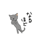 常用フレーズ 女の子とたまに猫（個別スタンプ：19）
