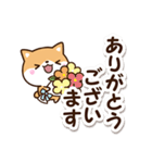 ちびシバ【ていねい＆敬語】（個別スタンプ：1）