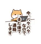 ちびシバ【ていねい＆敬語】（個別スタンプ：30）