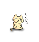ねこの小太郎(大盛り)（個別スタンプ：2）