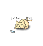 ねこの小太郎(大盛り)（個別スタンプ：4）