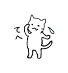 毎日使える ゆる～い猫ネコ（個別スタンプ：1）