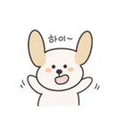わんこのネイティブ韓国語スタンプ（個別スタンプ：2）