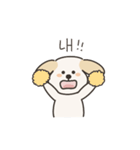 わんこのネイティブ韓国語スタンプ（個別スタンプ：20）