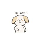 わんこのネイティブ韓国語スタンプ（個別スタンプ：21）
