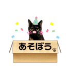 ねこのいる生活②（個別スタンプ：16）