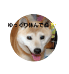 さくらと一緒 2（個別スタンプ：7）
