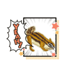 リスの刺繍スタンプ（個別スタンプ：6）