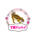 リスの刺繍スタンプ（個別スタンプ：7）