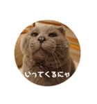 フック船長 手抜きver.（個別スタンプ：3）