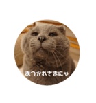 フック船長 手抜きver.（個別スタンプ：10）