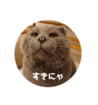 フック船長 手抜きver.（個別スタンプ：12）