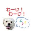 元気が出る！ポジティブ応援スタンプ（個別スタンプ：1）