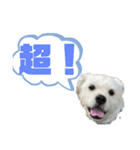 元気が出る！ポジティブ応援スタンプ（個別スタンプ：5）