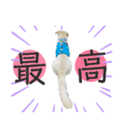 元気が出る！ポジティブ応援スタンプ（個別スタンプ：6）