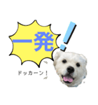 元気が出る！ポジティブ応援スタンプ（個別スタンプ：8）