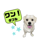 元気が出る！ポジティブ応援スタンプ（個別スタンプ：11）