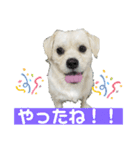 元気が出る！ポジティブ応援スタンプ（個別スタンプ：13）
