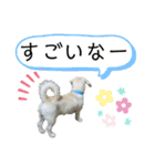 元気が出る！ポジティブ応援スタンプ（個別スタンプ：14）