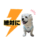 元気が出る！ポジティブ応援スタンプ（個別スタンプ：17）
