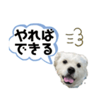 元気が出る！ポジティブ応援スタンプ（個別スタンプ：18）