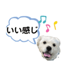 元気が出る！ポジティブ応援スタンプ（個別スタンプ：23）