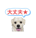 元気が出る！ポジティブ応援スタンプ（個別スタンプ：24）